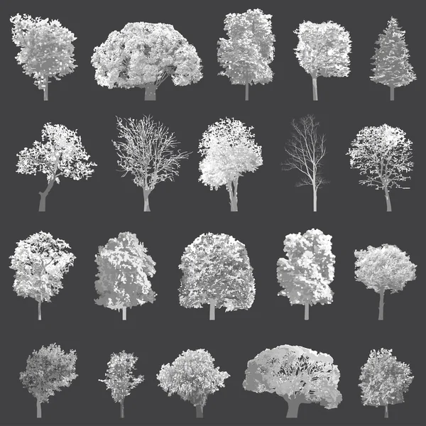 Ensemble d'arbres isolés — Image vectorielle