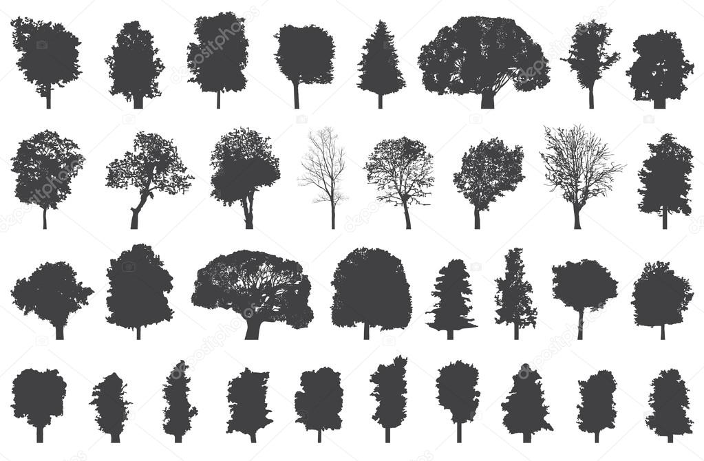 set of isolated trees silhouettes