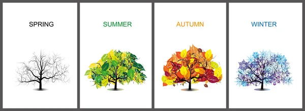 Season trees — Stock Vector