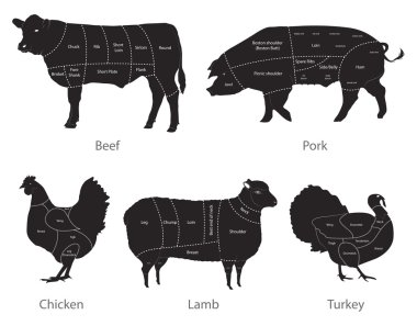 Meat cuts clipart