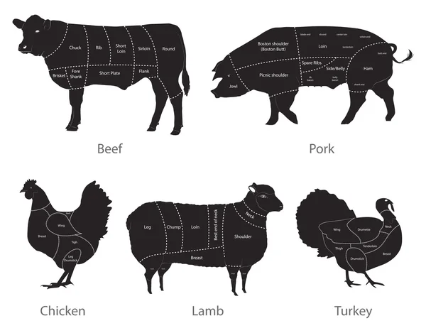 Cortes de carne — Vector de stock