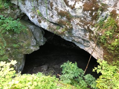 Weaver Mağarası, Tkalca Mağarası veya Tkalca Mağarası (Tkalca jama), Cerknica - Notranjska Bölge Parkı, Slovenya (Krajinski parkı Rakov Skocjan, Slovenya))
