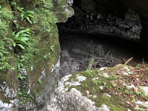 Peștera Țesutului Tkalca Jama Sau Peștera Tkalca Tkalca Jama Cerknica — Fotografie, imagine de stoc