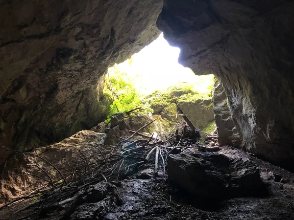 ウィーバー洞窟 タルカ ジャマまたはタルカ洞窟 タルカ ジャマ チェルニツァ ノトランスカ地域公園 スロベニア クラジンスキー公園ラコフ スコジャン — ストック写真