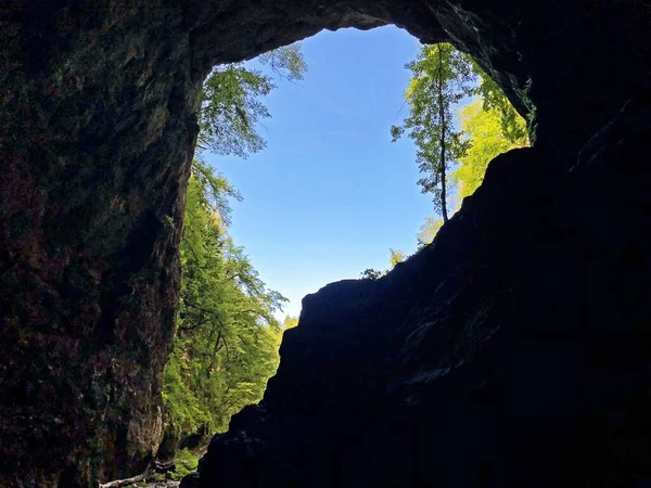 Peștera Țesutului Tkalca Jama Sau Peștera Tkalca Tkalca Jama Cerknica — Fotografie, imagine de stoc