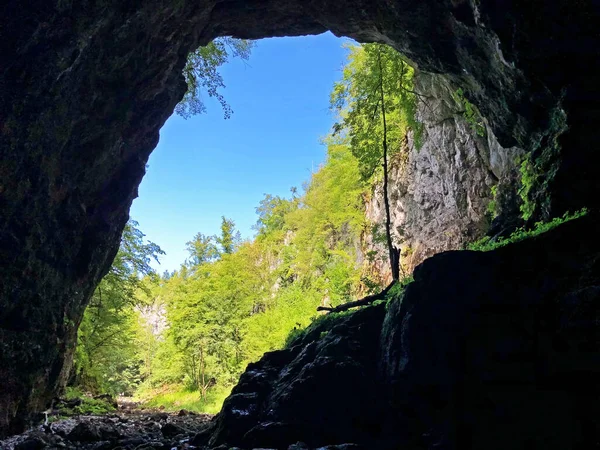 Peștera Țesutului Tkalca Jama Sau Peștera Tkalca Tkalca Jama Cerknica — Fotografie, imagine de stoc