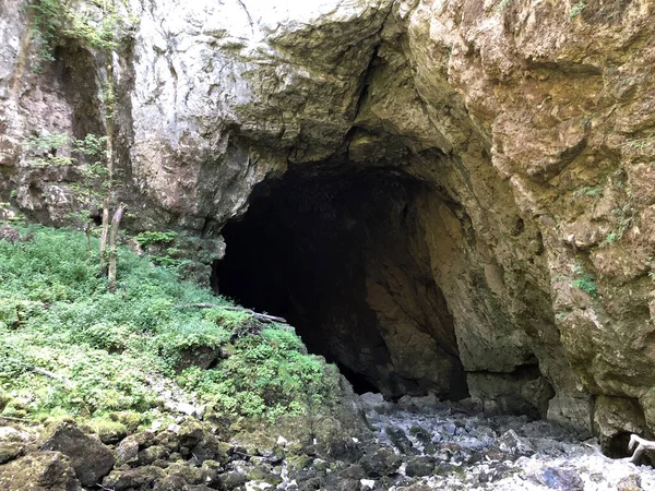 Cueva Del Tejedor Jama Tkalca Cueva Tkalca Jama Tkalca Cerknica — Foto de Stock