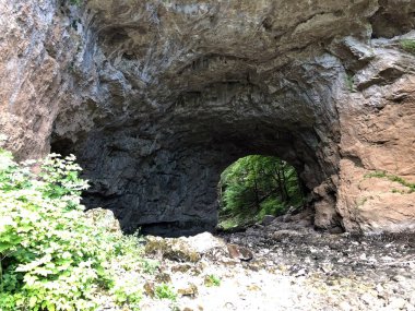 Rak Vadisi 'ndeki Büyük Doğal Köprü ya da en çok Veliki Naravni, Cerknica - Notranjska Bölgesel Parkı, Slovenya (Krajinski parkı Rakov Skocjan, Slovenya))