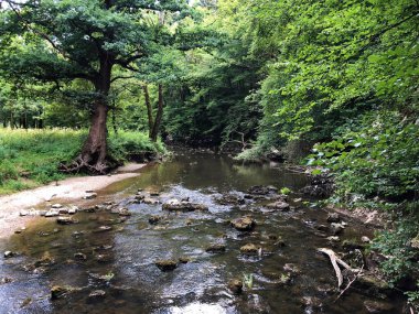 Kireçtaşı ve kanyon taşlı Rak nehri yatağı, Cerknica - Notranjska Bölgesel Parkı, Slovenya (Krajinski parkı Rakov Skocjan, Slovenya)