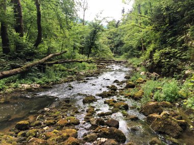 Kireçtaşı ve kanyon taşlı Rak nehri yatağı, Cerknica - Notranjska Bölgesel Parkı, Slovenya (Krajinski parkı Rakov Skocjan, Slovenya)