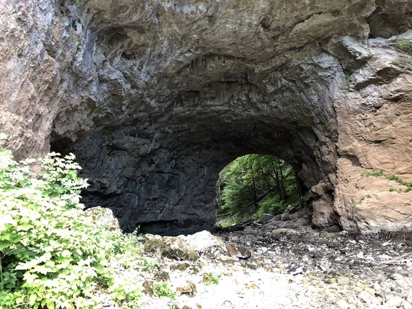 川の谷の大自然橋ラックやヴェリキNaravniほとんどの チェルニツァ ノトランスカ地域公園 スロベニア クラジンスキー公園ラコフSkocjan スロベニア — ストック写真