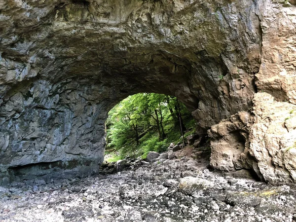 Grande Ponte Natural Vale Rio Rak Veliki Naravni Mais Cerknica — Fotografia de Stock