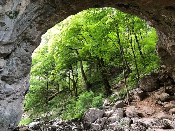 川の谷の大自然橋ラックやヴェリキNaravniほとんどの チェルニツァ ノトランスカ地域公園 スロベニア クラジンスキー公園ラコフSkocjan スロベニア — ストック写真