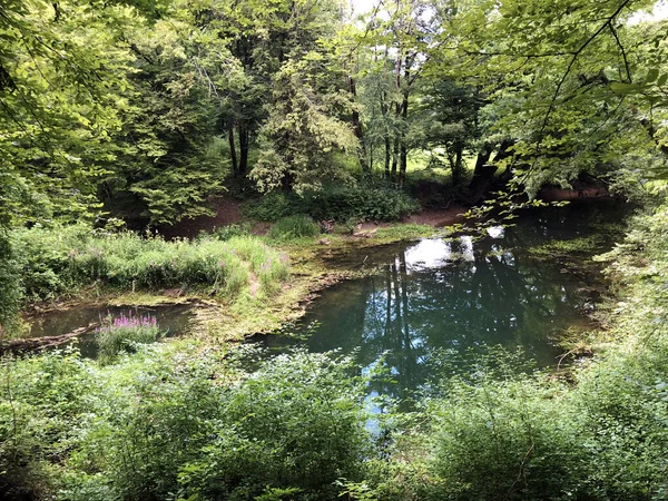 Leito Rio Rak Com Cânion Pedras Calcário Cerknica Parque Regional — Fotografia de Stock