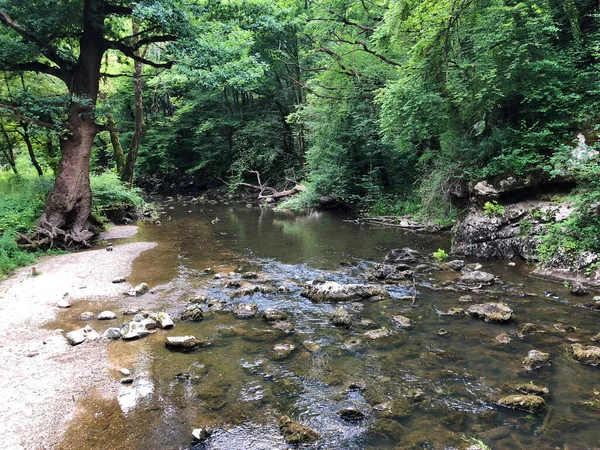 Łóżko Rzeki Rak Kanionem Wapiennymi Skałami Cerknica Notranjska Regional Park — Zdjęcie stockowe