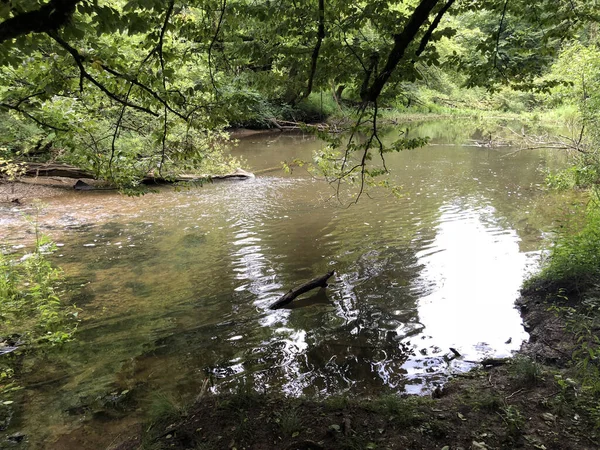 Łóżko Rzeki Rak Kanionem Wapiennymi Skałami Cerknica Notranjska Regional Park — Zdjęcie stockowe