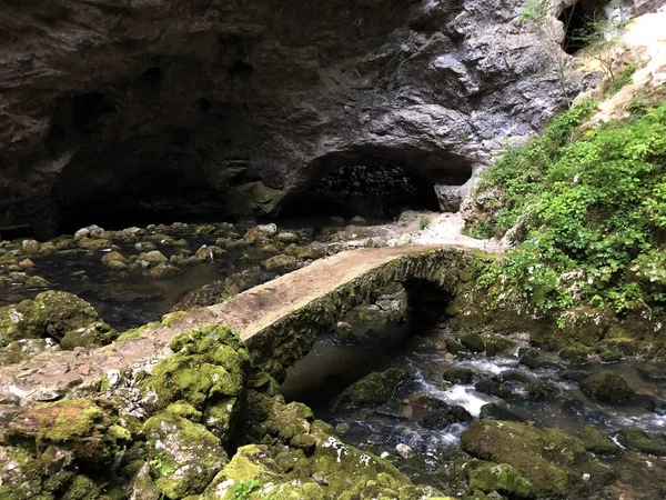 Stenbron Zelske Grottor Eller Kamniti Mest Zelskih Jamah Cerknica Notranjska — Stockfoto