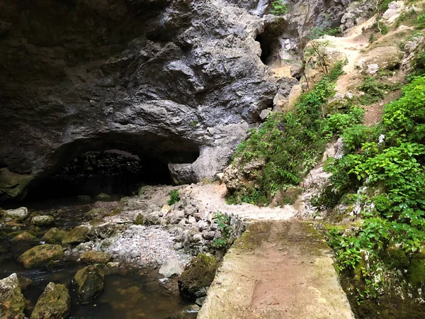 Pont Pierre Dans Les Grottes Zelske Kamniti Zelskih Jamah Cerknica — Photo
