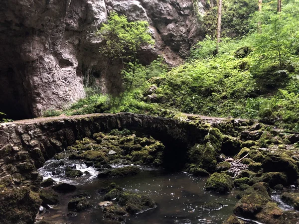 Ponte Pedra Nas Cavernas Zelske Kamniti Mais Zelskih Jamah Cerknica — Fotografia de Stock