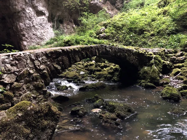 Ponte Pietra Nelle Grotte Zelske Kamniti Most Zelskih Jamah Cerknica — Foto Stock