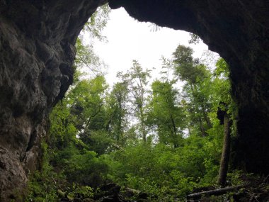 Slovenya 'nın Notranjska Bölgesel Parkı, Cerknica, Rak Nehri kanyonundaki kireçtaşı kayalıklarındaki mağaralar