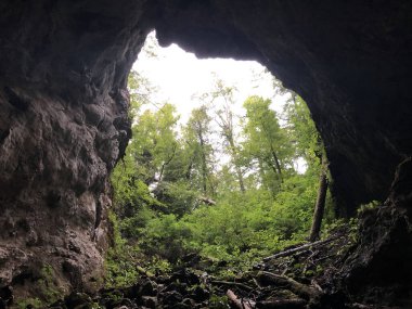 Slovenya 'nın Notranjska Bölgesel Parkı, Cerknica, Rak Nehri kanyonundaki kireçtaşı kayalıklarındaki mağaralar