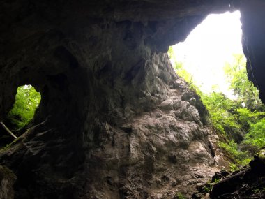 Slovenya 'nın Notranjska Bölgesel Parkı, Cerknica, Rak Nehri kanyonundaki kireçtaşı kayalıklarındaki mağaralar