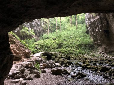Slovenya 'nın Notranjska Bölgesel Parkı, Cerknica, Rak Nehri kanyonundaki kireçtaşı kayalıklarındaki mağaralar