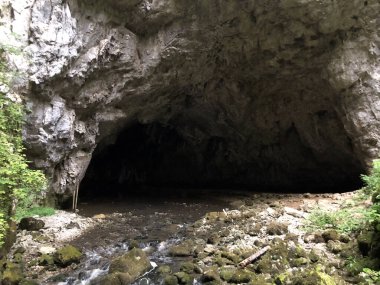 Slovenya 'nın Notranjska Bölgesel Parkı, Cerknica, Rak Nehri kanyonundaki kireçtaşı kayalıklarındaki mağaralar