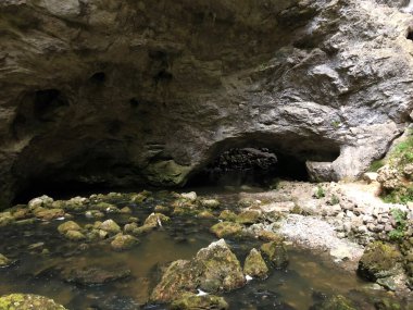 Slovenya 'nın Notranjska Bölgesel Parkı, Cerknica, Rak Nehri kanyonundaki kireçtaşı kayalıklarındaki mağaralar