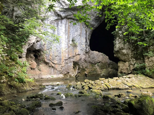 Grottes Dans Les Roches Calcaires Canyon Rivière Rak Cerknica Parc — Photo