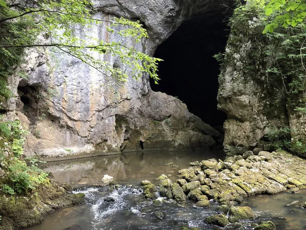 Grottes Dans Les Roches Calcaires Canyon Rivière Rak Cerknica Parc — Photo