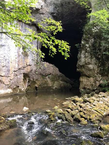 Cuevas Las Rocas Calizas Del Cañón Del Río Rak Cerknica — Foto de Stock