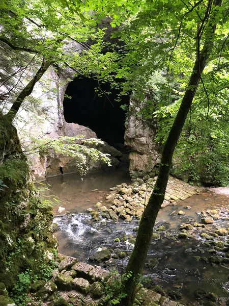 Cavernas Nas Rochas Calcárias Desfiladeiro Rio Rak Cerknica Parque Regional — Fotografia de Stock