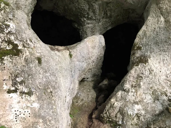 Cavernas Nas Rochas Calcárias Desfiladeiro Rio Rak Cerknica Parque Regional — Fotografia de Stock