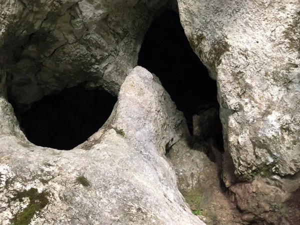 Barlangok Mészkő Sziklák Rak Folyó Kanyon Cerknica Notranjska Regionális Park — Stock Fotó