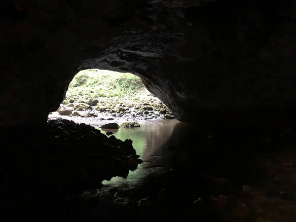 Grotten Kalkstenen Rotsen Van Rak River Canyon Cerknica Notranjska Regional — Stockfoto