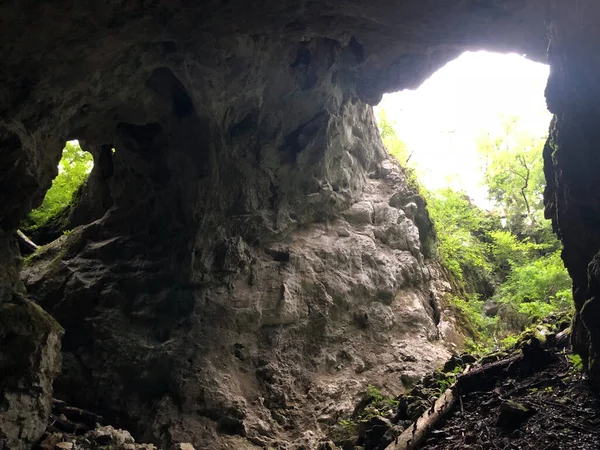 Höhlen Den Kalkfelsen Der Schlucht Des Flusses Rak Cerknica Regionalpark — Stockfoto