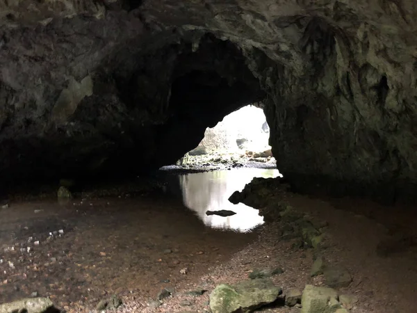 Barlangok Mészkő Sziklák Rak Folyó Kanyon Cerknica Notranjska Regionális Park — Stock Fotó