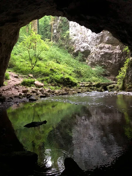 Cuevas Las Rocas Calizas Del Cañón Del Río Rak Cerknica — Foto de Stock