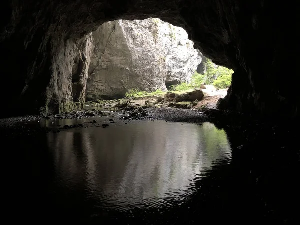 Grottes Dans Les Roches Calcaires Canyon Rivière Rak Cerknica Parc — Photo