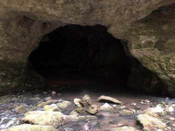 Barlangok Mészkő Sziklák Rak Folyó Kanyon Cerknica Notranjska Regionális Park — Stock Fotó