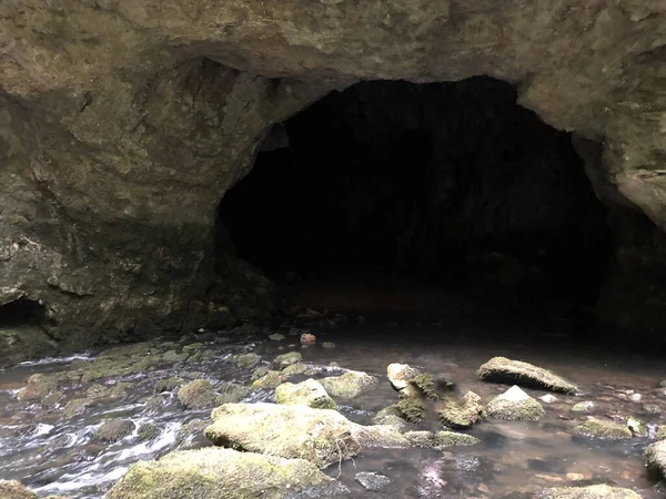 Jeskyně Vápencových Skalách Kaňonu Řeky Rak Cerknica Regionální Park Notranjska — Stock fotografie