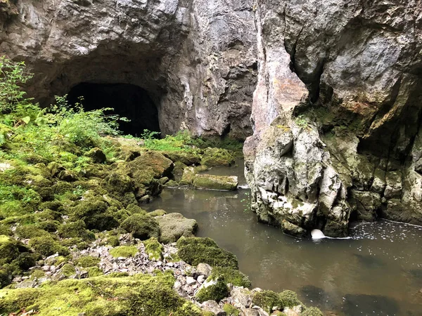 Cuevas Las Rocas Calizas Del Cañón Del Río Rak Cerknica — Foto de Stock