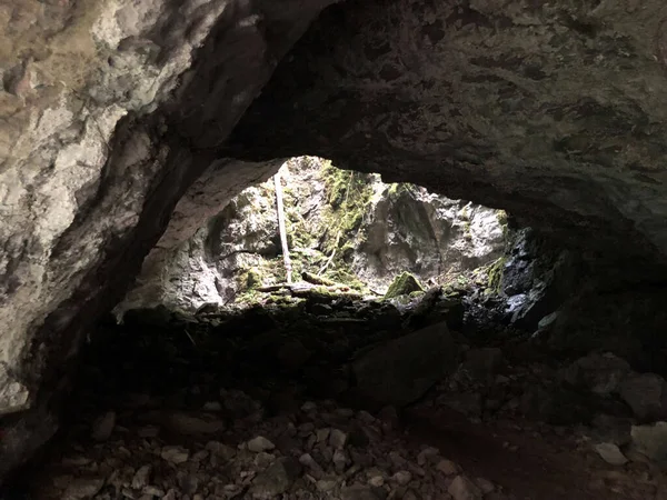 Grotte Nelle Rocce Calcaree Del Canyon Del Fiume Rak Cerknica — Foto Stock