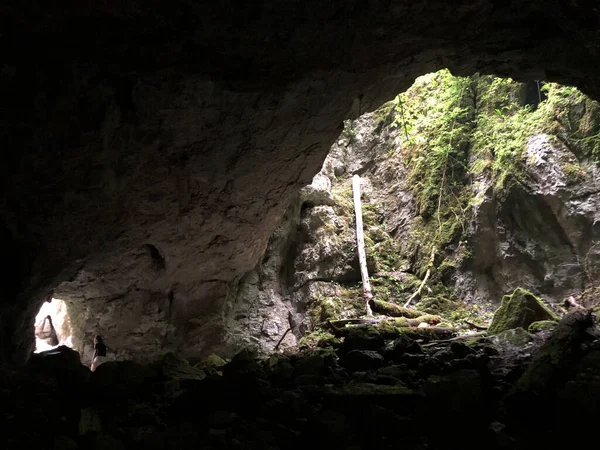 斯洛文尼亚Cerknica Notranjska区域公园Rak河峡谷石灰岩中的洞穴 — 图库照片