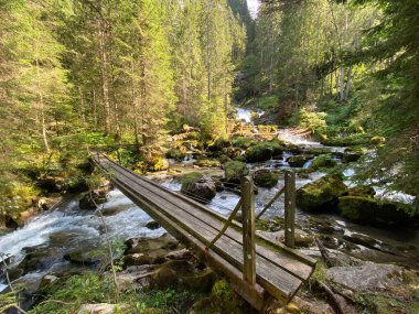 Giessbach deresi üzerinde ve şelaleler arasında Giessbachfalle Oder Giessbachfaelle, Brienz - Bern Kantonu, İsviçre (Kanton Bern, Schweiz)
