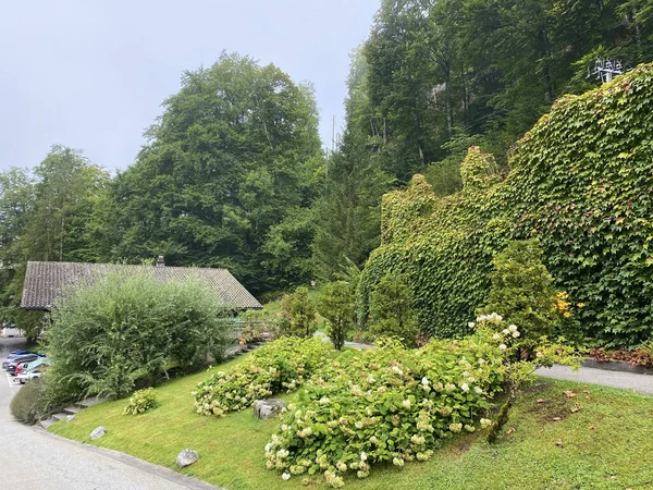 Brienz Gölü üzerindeki Grand Hotel Giessbach 'ın (Brienzersee) yanında bir bahçesi ve yeşil alanları olan bir park (Kanton Bern, Schweiz))