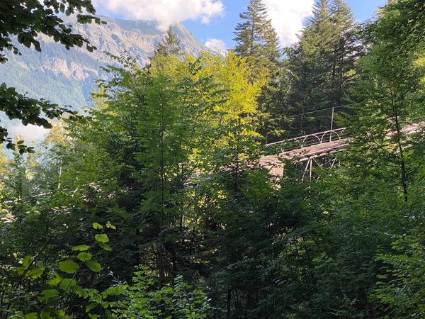 Giessbachbahn Funicular Más Antiguo Europa Brienz Cantón Berna Suiza Standseilbahn — Foto de Stock