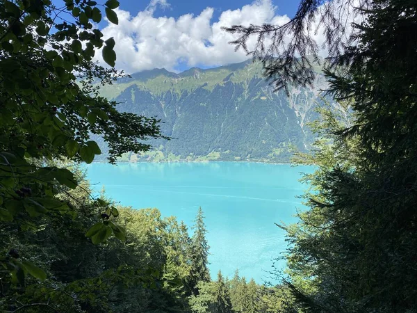 Danau Brienz Antara Pegunungan Alpen Emmental Dan Alpen Bernese Kanton — Stok Foto